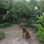 Logis Saint-leonard Bed & Breakfast Honfleur